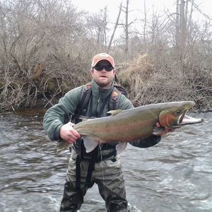 Meet your Posher, Steve